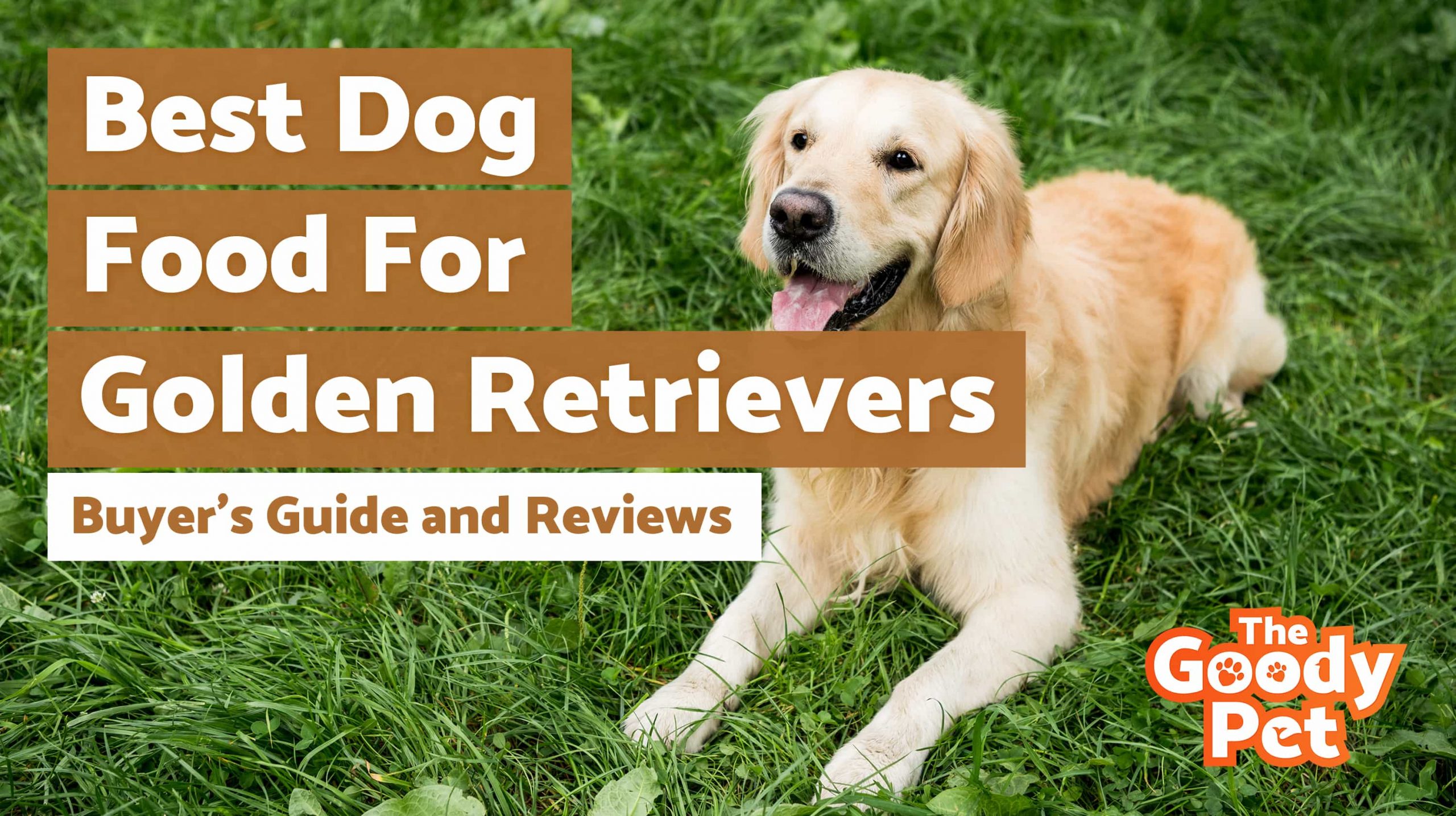 7 Best Dog Foods For Golden Retrievers (February 2020 ...