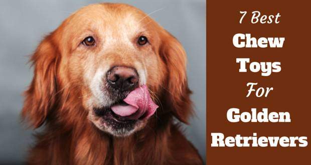 7 of the Best Chew Toys For Golden Retrievers