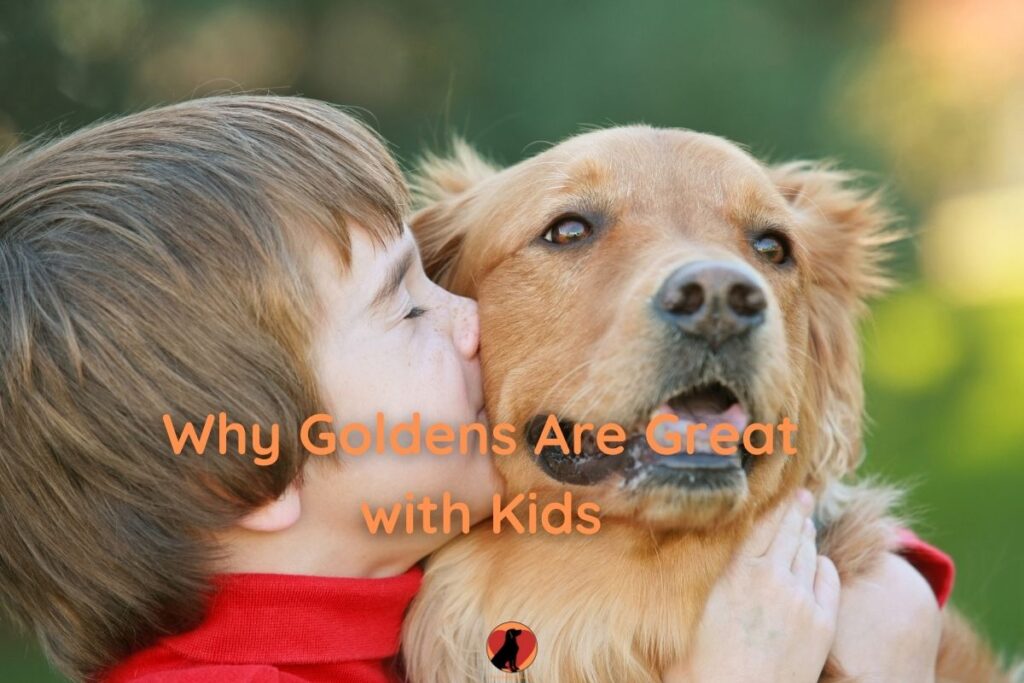 Are Golden Retrievers Good With Kids? 7 Awesome Benefits ...
