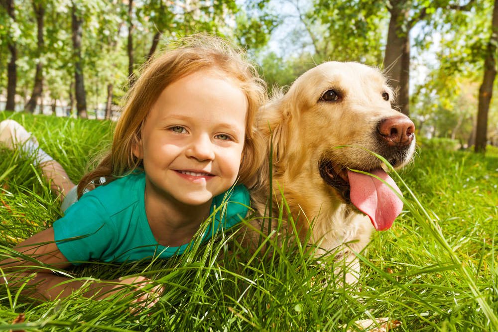 Are Golden Retrievers Good With Kids? (What You Must Know)