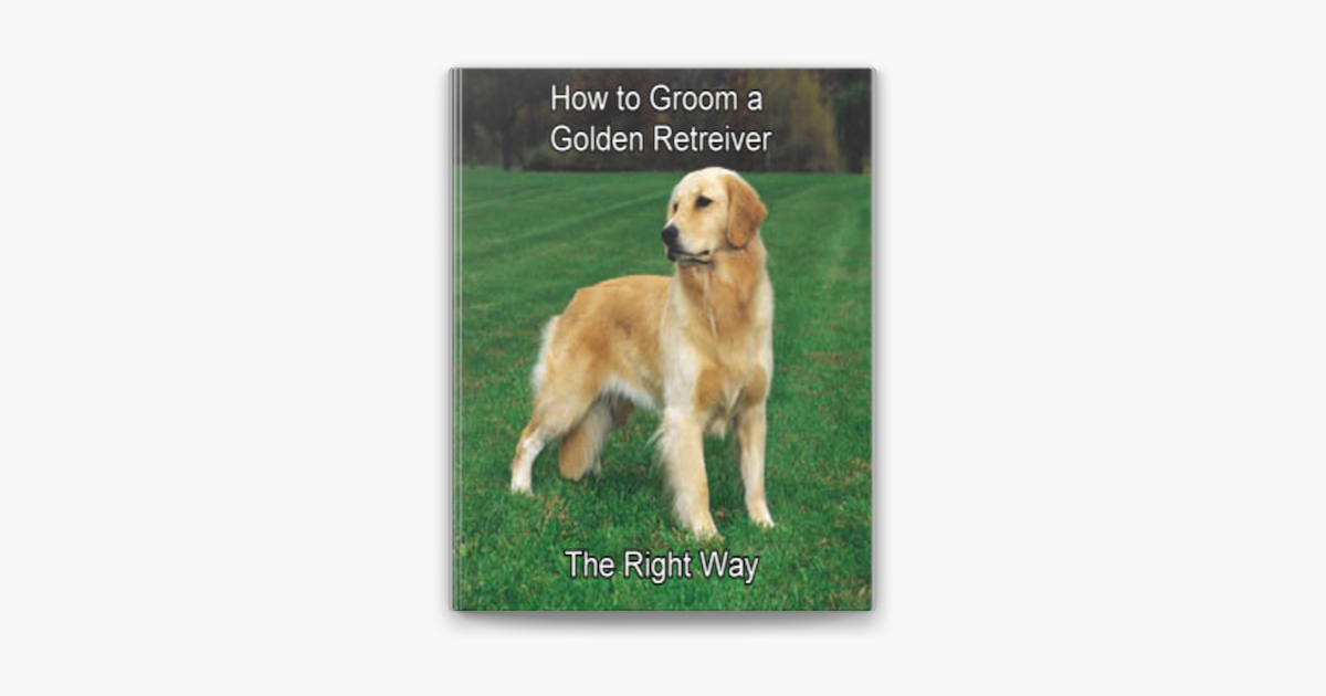â€ŽHow to Groom a Golden Retriever the Right Way on Apple Books